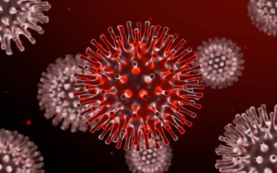 Mudança na Pandemia: saiba como se proteger do Coronavírus
